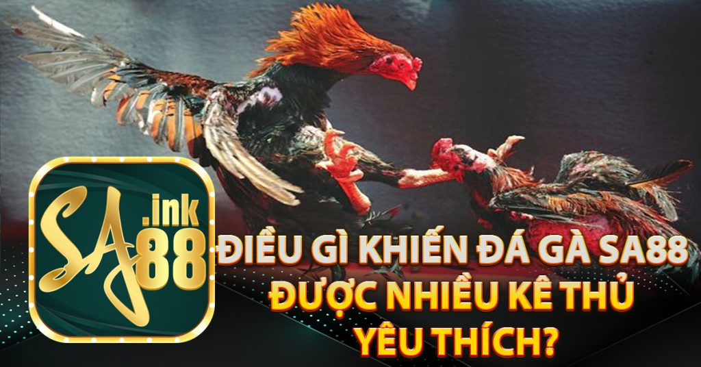 Điều gì khiến đá gà Sa88 được nhiều kê thủ yêu thích?