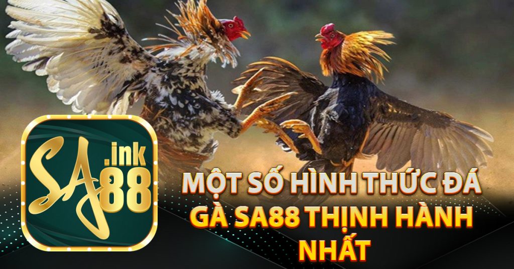 Một số hình thức đá gà Sa88 thịnh hành nhất hiện nay